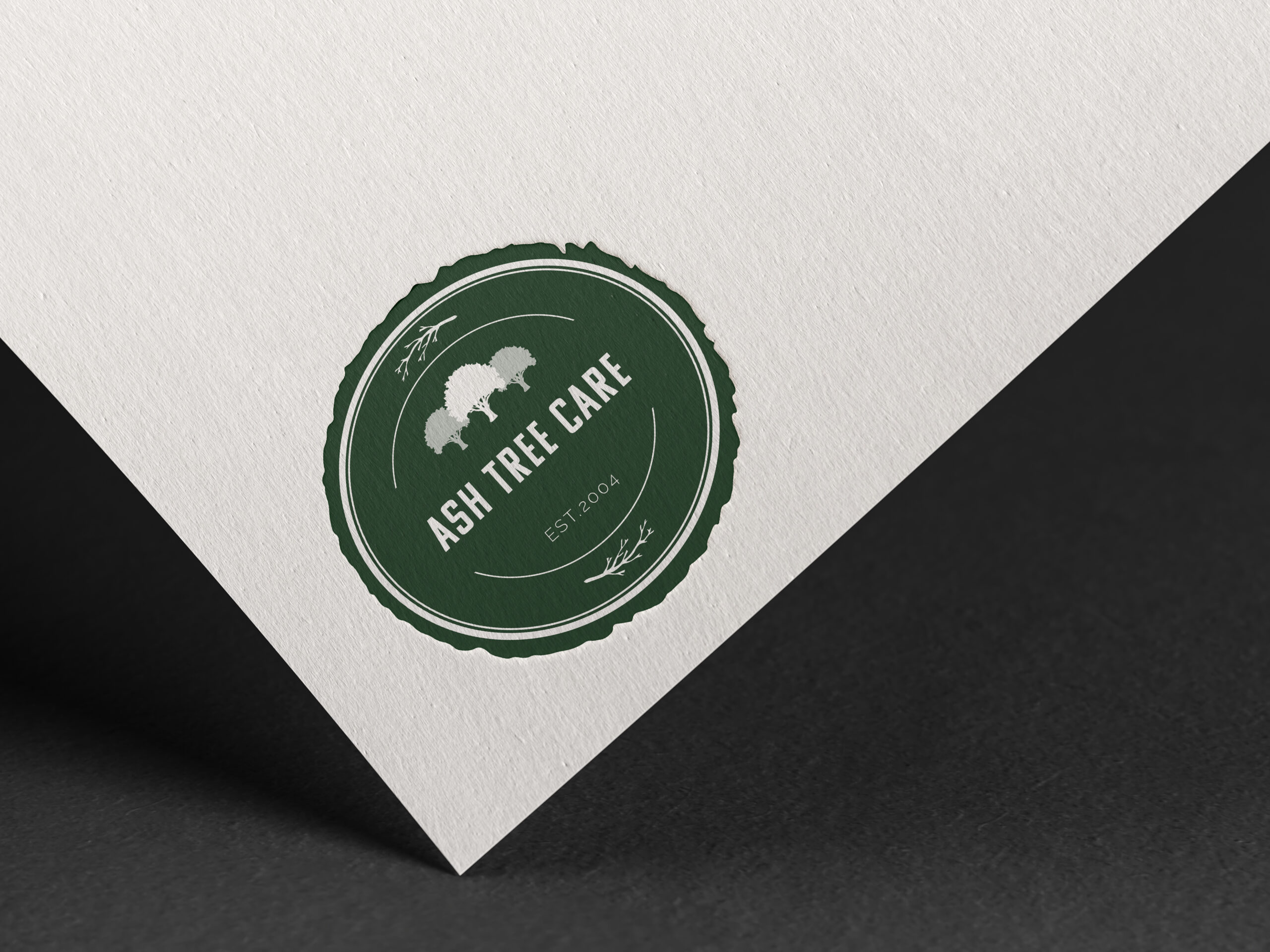 Embossed Logo Mockup by Anthony Boyd Graphics